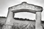 Chevaliers-Montrachet 6573-2.jpg